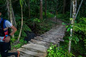 BIB: 
                            <button type="button" onclick="openModal(21893760)" class="btn btn-primary btn-sm float-right btn-popup" data-toggle="modal" data-target=".modal-high-quality">
                        <i class="fas fa-shopping-cart"></i> Add to Cart
                    </button>
                                            <button type="button" onclick="isThisMe(21893760, true)" class="btn btn-success btn-sm float-right btn-popup btn-isme hidden" data-toggle="tooltip" data-placement="bottom" title="นี่คือรูปของคุณใช่ไหม คลิกที่นี่เพื่อเอาเข้าอัลบั้ม">
                        <i class="fas fa-plus"></i> Add to album
                    </button>
                    <button type="button" onclick="isThisMe(21893760, false)" class="btn btn-warning btn-sm float-right btn-popup btn-isnotme hidden">
                        <i class="fas fa-ban"></i> Remove from album
                    </button>